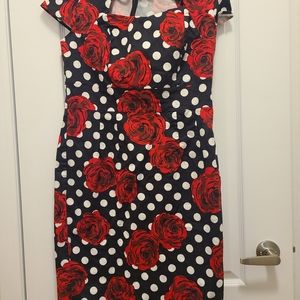 Vintage Red Rose Dress